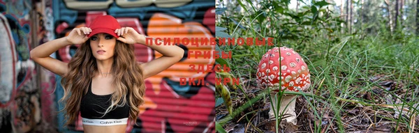 mix Михайловск