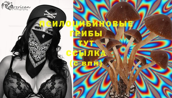 ECSTASY Михайловка