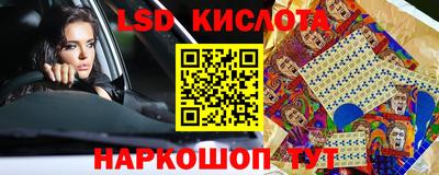 стаф Гай