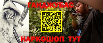 гашик Берёзовский