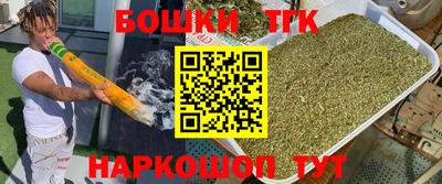 стаф Гай