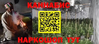 стаф Гай