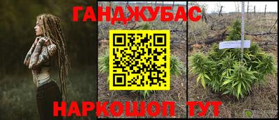 стаф Гай