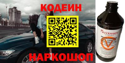 стаф Гай