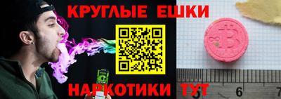 стаф Гай