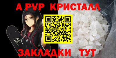 стаф Гай