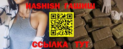 стаф Гай