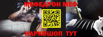 стаф Гай