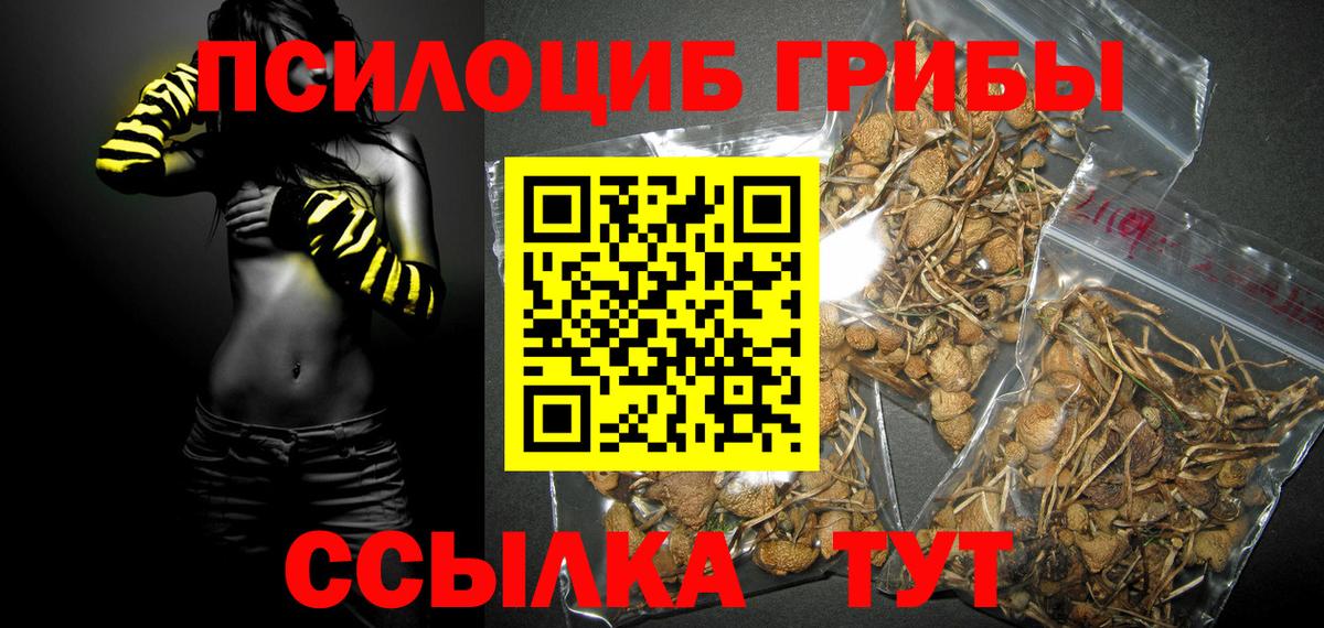 Сафоново  Галлюциногенные грибы Psilocybine cubensis  Вход с VPN  Галлюциногенные грибы Psilocybine cubensis 